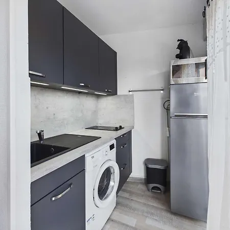 Lumineux 4-6 Pers Avec Terrasse, Parking Et Cuisine Equipee A - Fr-1-326-502 *